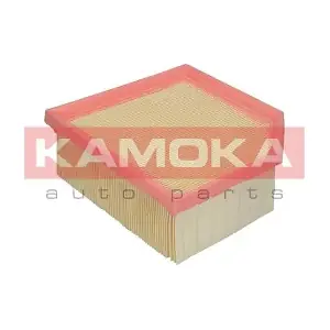 KAMOKA F228301