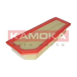 F220301 KAMOKA