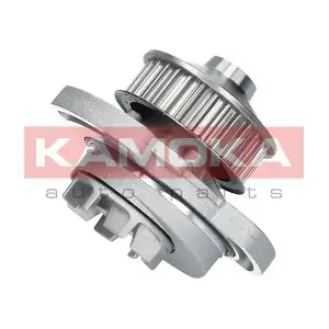 KAMOKA T0254