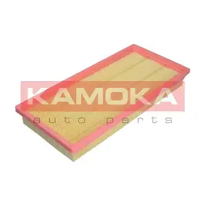 F224101 KAMOKA