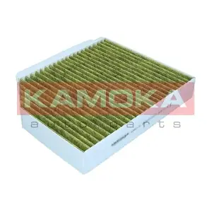 6080176 KAMOKA