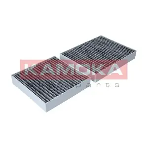 KAMOKA F506101