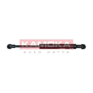 7091134 KAMOKA