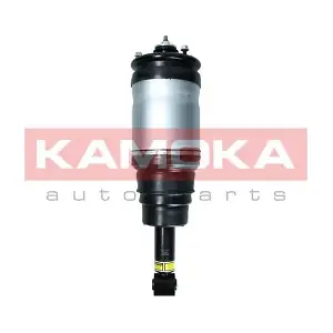 2070025 KAMOKA