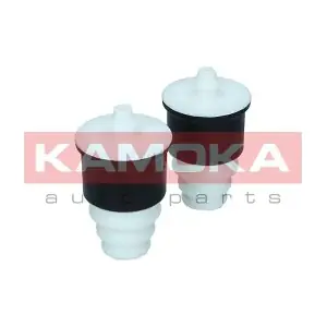 2019159 KAMOKA