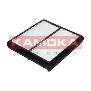 KAMOKA F201401