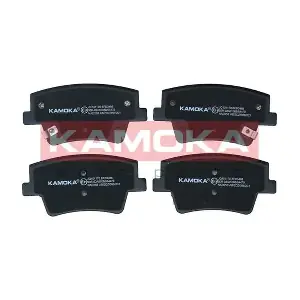 JQ101170 KAMOKA