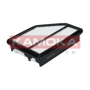 F211401 KAMOKA