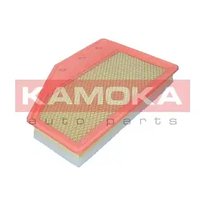 F258201 KAMOKA
