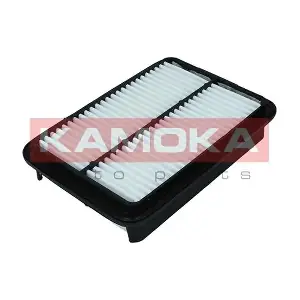 F249001 KAMOKA