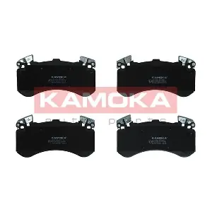 JQ101399 KAMOKA