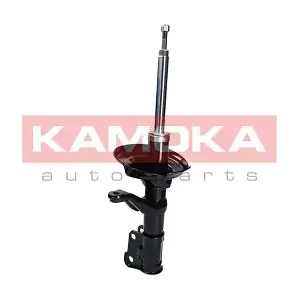 2000011 KAMOKA