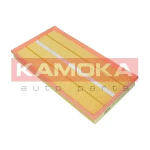 F249401 KAMOKA