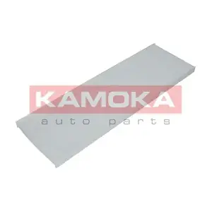 KAMOKA F407301