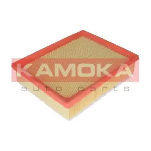 KAMOKA F231601