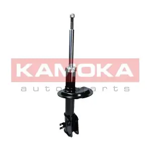 2000299 KAMOKA