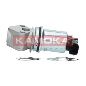 19017 KAMOKA