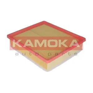 KAMOKA F209701