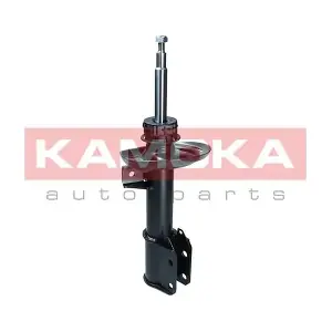 2000463 KAMOKA