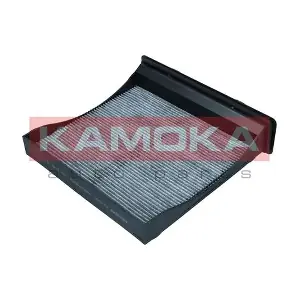 F519801 KAMOKA