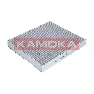 KAMOKA F503301