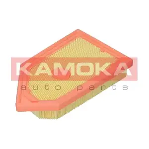 F254301 KAMOKA