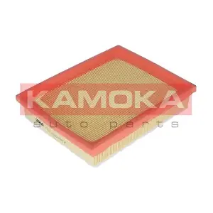 KAMOKA F221901