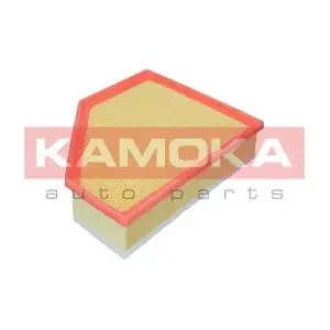 F255501 KAMOKA