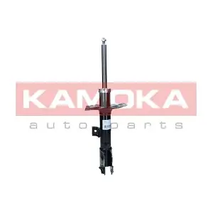 2001077 KAMOKA