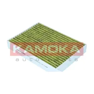 6080161 KAMOKA
