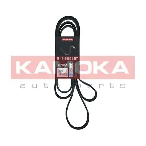 7016242 KAMOKA