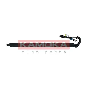 7094020 KAMOKA