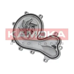 KAMOKA T0036
