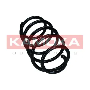 2110752 KAMOKA