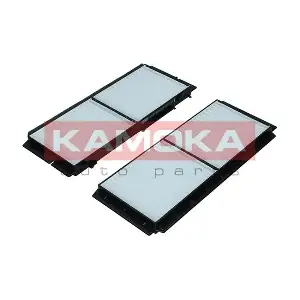 F421201 KAMOKA