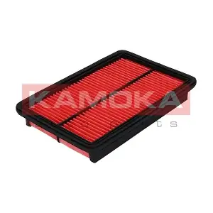 F209401 KAMOKA