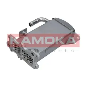 19C067 KAMOKA