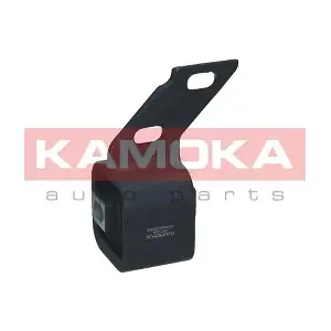 891009 KAMOKA