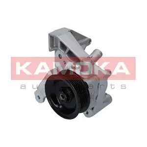 PP121 KAMOKA