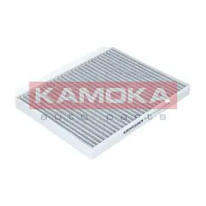KAMOKA F502301