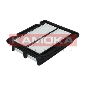 F210601 KAMOKA