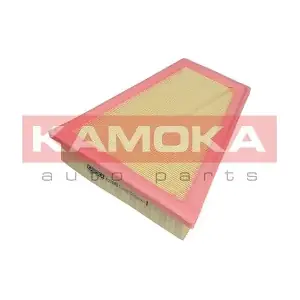 F218801 KAMOKA