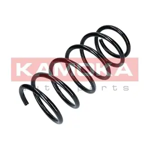 2110198 KAMOKA