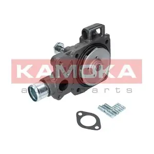 T0166 KAMOKA