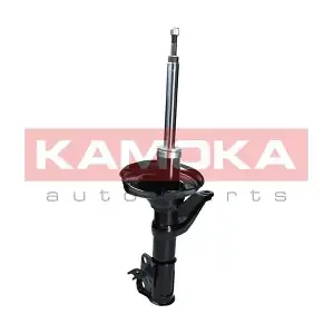 2000012 KAMOKA