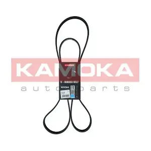 7016167 KAMOKA