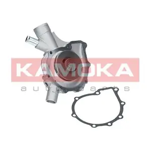 T0197 KAMOKA