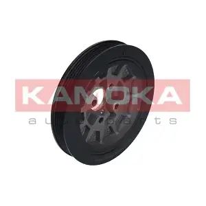 RW036 KAMOKA