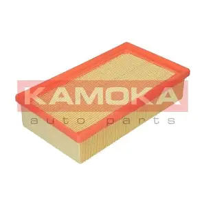 KAMOKA F207301