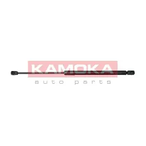 7092268 KAMOKA